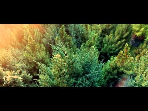 Plantagen Trädgårdsmästarefilm Sverige