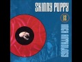 12" Anthology - Skinny Puppy - The Choke 