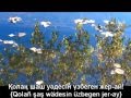 Kazak - Karakat Abildina - Balaban Kaz 