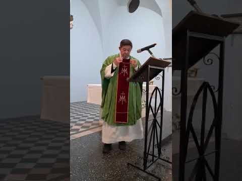 Misa domingo 16/11/25. Padre Luis Fornero. En San Cayetano de Luján.