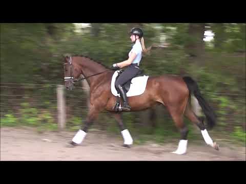 SMILY 10j. v. Stenograph - Escudo II VB 12.000,- Euro