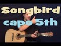 Songbird (Fleetwood Mac) Easy Strum Guitar Lesson -No Barre Chords- How to Play Tutorial