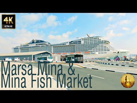 Marsa Mina & Mina Fish Market walk tour | #uae, #unitedarabemirates, #abudhabi, #fishmarket