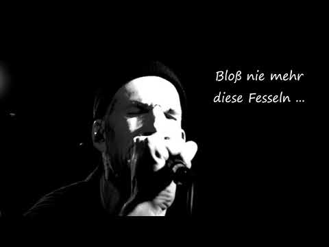 Vorstadtkönige Phoenix aus der Asche