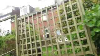 Walk by the Old Coast Guard Houses along St Saviours Hill in Polruan Cornwall
