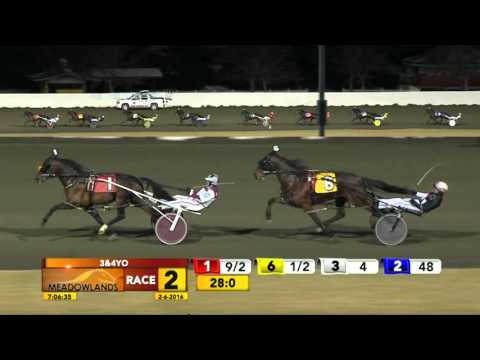 Meadowlands February 6, 2016 - Race 2 - Connecting Flight