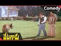 Vetagadu Movie NTR Waking By Tiger Comedy Scene NTR Sridevi