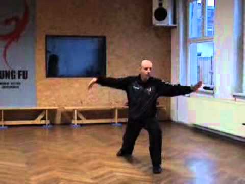 Phönix Kung Fu - Limpo