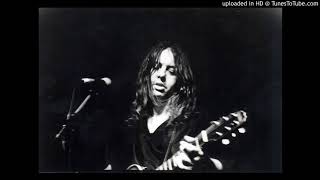 BEVIS FROND down to earth