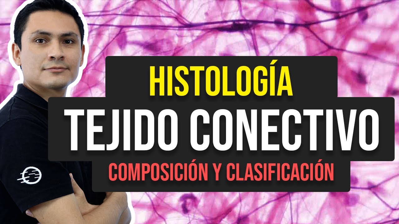 Tejido Conectivo: Composición y Clasificación