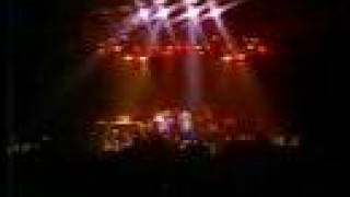 Lynyrd Skynyrd at CDB Volunteer Jam V Freebird part 2