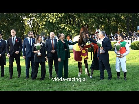 Gon. VII (Wielka Warszawska) - 26.09.2021 - Night Tornado (Night of Thunder - Tornadea)