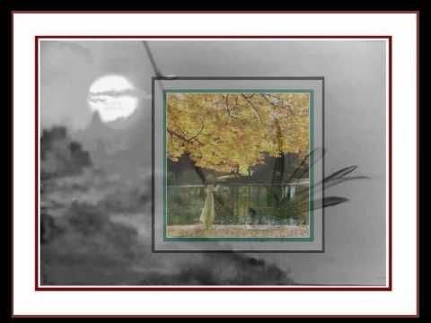 Dương cầm - Thái Thảo