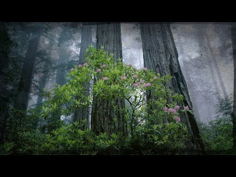 Nekfeu Type Beat - Origins (prod. by Bottle)