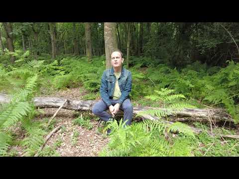 Kevin Dean - Glastonbury Interview Out-take