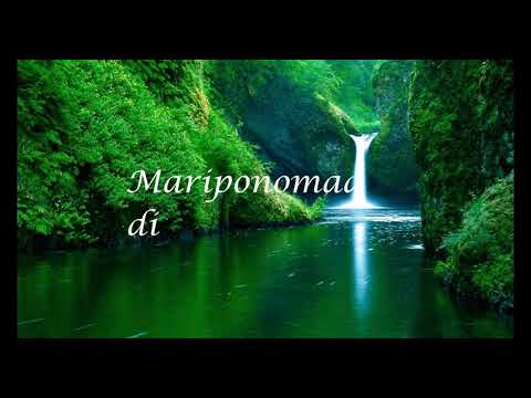 Silu Silu Video | Lyric Song | Vanamagan | Jayam Ravi | Harris Jayaraj