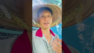 Cân Bằng PH trong nước khi PH tăng cao 9 #kieuduc