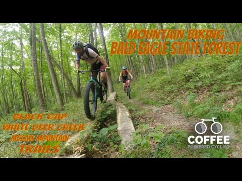 Fat (video) Tuesday – Coffee Powered Cyclist in the Bald Eagle State Forest (PA) PaulBunyanFVT