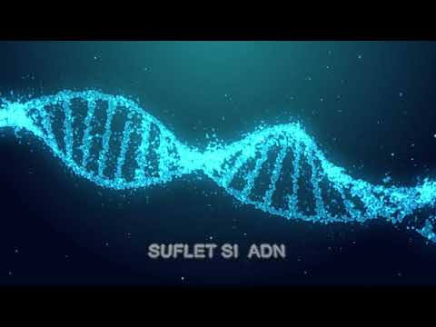 Advok x Perry Pete - Suflet si ADN  | GRAVITATIE ZERO ALBUM