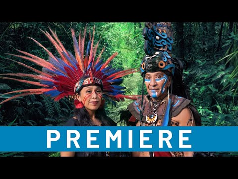 Die Kraft der Intention 🔥 Offizieller Trailer – Wecke die 4 Elemente in Dir!