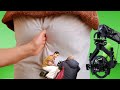 PK Movie Behind The Scenes Amir Khan PK Movie Shooting Anushka Sharma Shushant Singh
