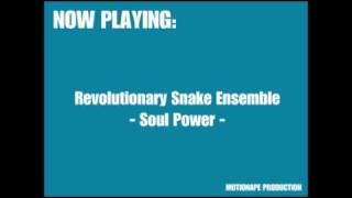 Revolutionary Snake Ensemble - Soul Power