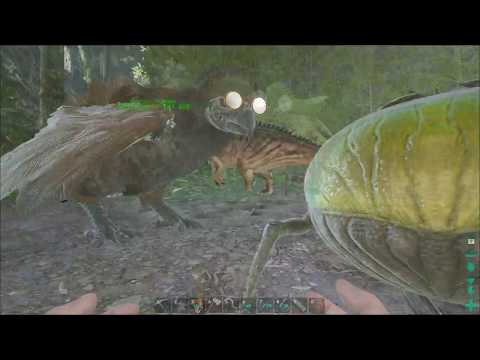 Soloing the Ark - EP23 - Of Caves and Dung Beetles!