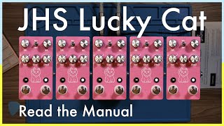 Video thumbnail for Read the Manual - JHS Lucky Cat by kevwyxin
