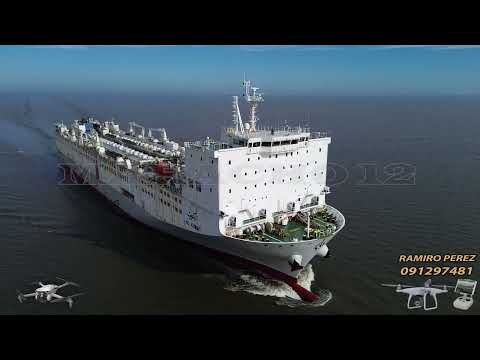 VIDEO DRON BUQUE DE TRANSPORTE DE GANADO EN PIE ENTRANDO AL PUERTO DE MONTEVIDEO AL KUWAIT. JUN 2026