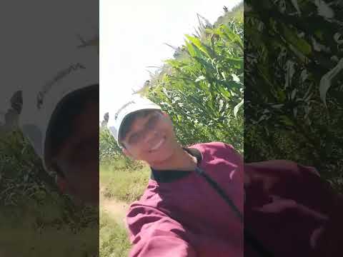 Napan Kam man nagala t mangga,uray nakapudpudot😂😂