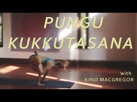 Pungu Kukkutasana with Kino Macgregor (Fourth Series Ashtanga Yoga Demonstration)