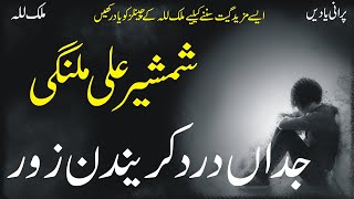 Download lagu Jadan Dard Karainday Zor | Shamsher Ali Malangi | Best Punjabi Song | Old Punjabi Audio Virsa mp3