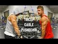 TRICEP GROWTH FOR BEGINNERS! PUSH DOWNS