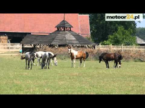 Agroturystyka Western Relax - Noclegi Wronki - Karolewo meteor24.pl