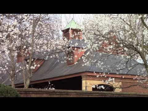 Stars of the Oaks - Blind Luck, 2010 Kentucky Oaks Winner