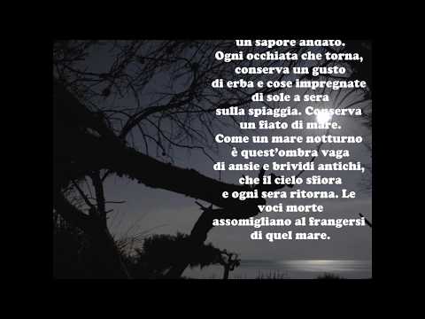 Cesare Pavese: RICORDI - Le videopoesie di Gianni Caputo