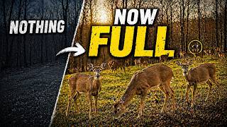 All Hunting Season… Nothing. Now My Food Plot Is FULL of Deer