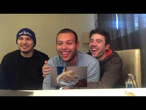 GayStonersReview - Carly Rae Jepsen NOW THAT I FOUND YOU REACTION!!!