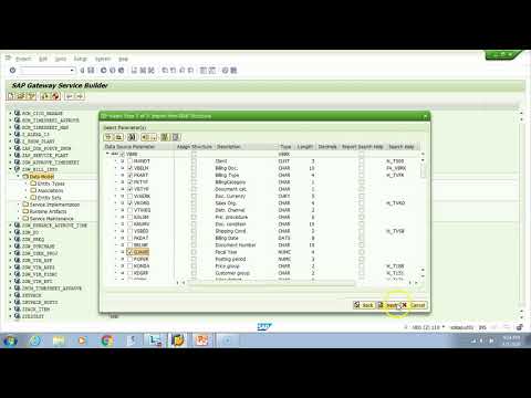 OData & SAP Netweaver Gateway - 015 Step 2 Create Entity Type and Entity Set