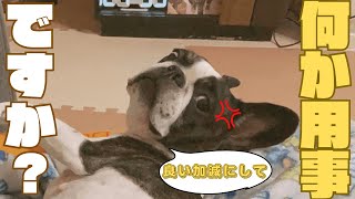 暇だったから、悪戯したら大変な事になった😂