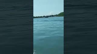 Download lagu pantai logending hutan tropis #youtubeshorts #youtubeupdate#feedshorts #shortvideo#viralshorts mp3 Download lagu pantai logending hutan tropis #youtubeshorts #youtubeupdate#feedshorts #shortvideo#viralshorts mp3