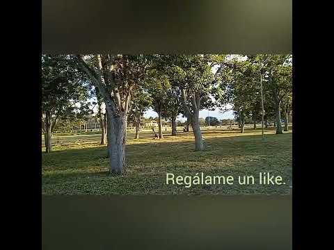 Plaza de la revolución, Holguín, Cuba.#travel #turismo #cuba#holguin #callesdecuba #nature