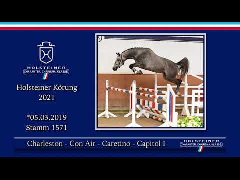 Holsteiner Körlot 2021 | Nr. 18 v. Charleston - Con Air - Caretino - Capitol I