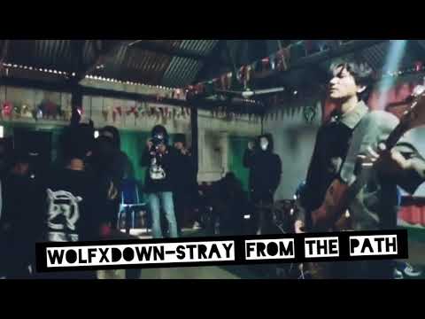 Erotic Shitters X Void turned to Message-Stray From The Path/ FC-Five - New Greed