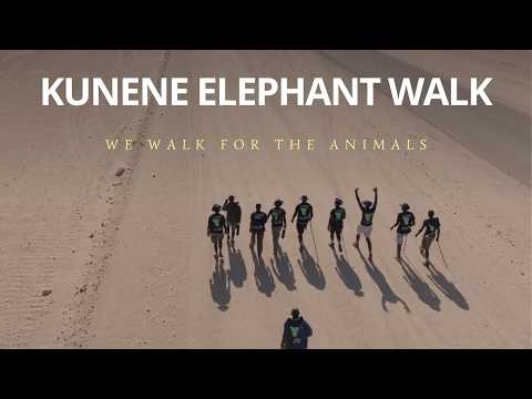 Help Communities and Elephants Coexist