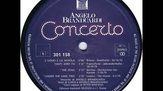 Angelo Branduardi - L&#39;Uomo E La Nuvola (Concerto 1980)