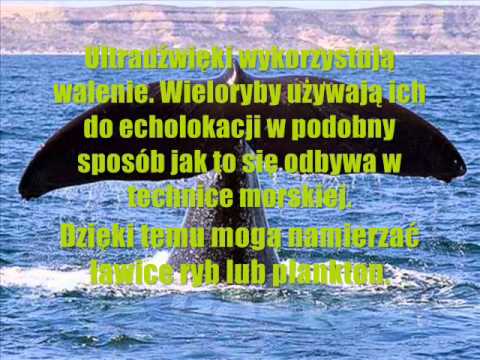 Co koślawe ustawienie stóp u dzieci Gimnastyka z koślawego stóp wideo