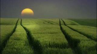 Dustin O'Halloran - Opus 28 HD