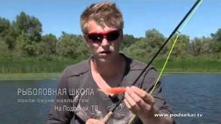 Ссылка