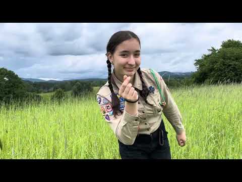 Pošleme Viky na Světové skautské Jamboree 2027!